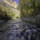 Aravaipa Creek Autumn